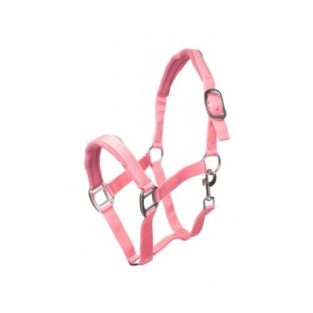 723_roze.jpg