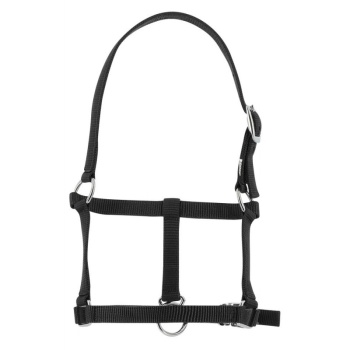 riding-world-foal-headcollar (1).jpg