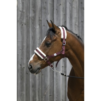 riding-world-headcollar-synthetic-sheepskin (3).jpg