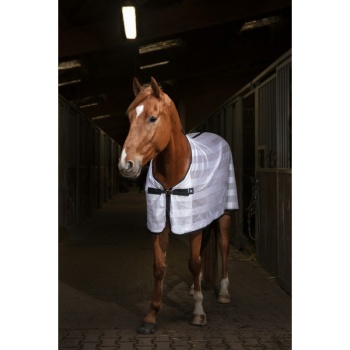 riding-world-mesh-summer-sheet.jpg