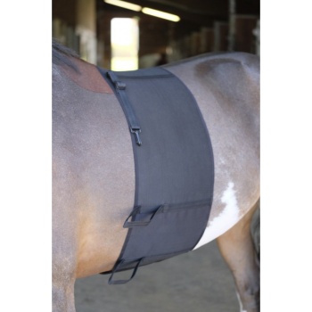 belly-band-norton.jpg