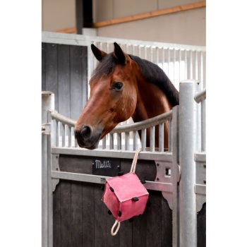 horse_toys_cube_6.jpg