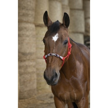 norton-pearl-ethological-headcollar (2).jpg