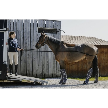 norton-trailer-loading-training-aid.jpg