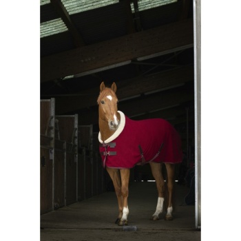 equitheme-teddy-polar-fleece-sheet (3).jpg