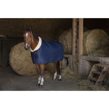 equitheme-teddy-stable-rug-synthetic-sheepskin-lined.jpg
