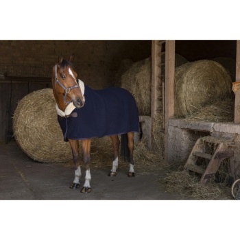 equitheme-teddy-wool-rug.jpg