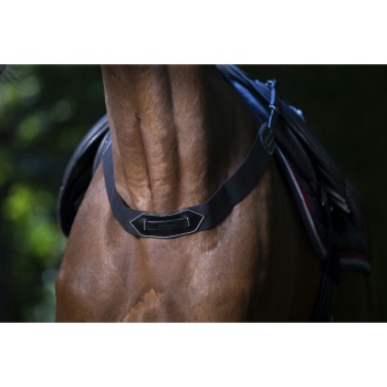 eric-thomas-pro-elastic-breastplate.jpg