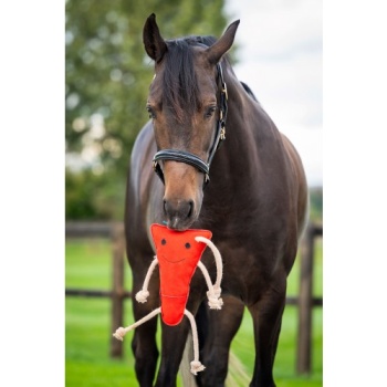 horse_toys_2_carrot_._1.jpg