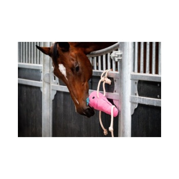 horse_toys_4_round_carrot..jpg