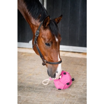horse_toys_5_ball._1.jpg