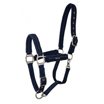 lami-cell-aurora-headcollar (1).jpg