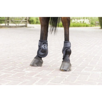 lami-cell-power-deep-v22-fetlock-boots.jpg