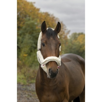 norton-full-mouton-synthetique-headcollar.jpg