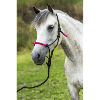 norton-fun-colour-ethological-headcollar-lead-rope.jpg