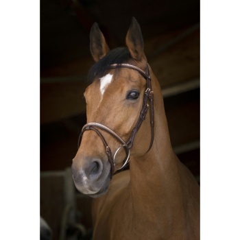 norton-pro-clincher-bridle (3).jpg