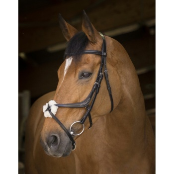 norton-pro-crossed-noseband-bridle.jpg