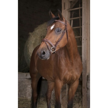 norton-pro-fin-bridle (1).jpg