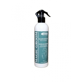 rekor-magic-groom-dry-shampoo.jpg