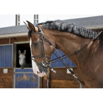 riding-world-gogue-with-pulleys.jpg
