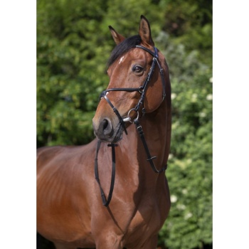 riding-world-muserolle-croisee-bridle.jpg