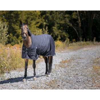 riding-world-oxford-waterproof-rug (1).jpg