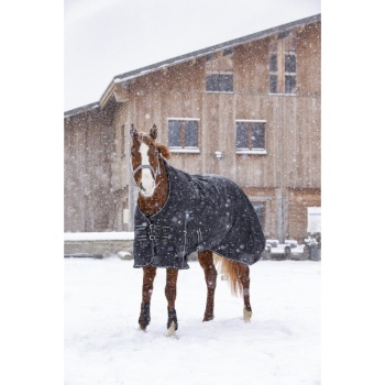 riding-world-oxford-waterproof-rug.jpg