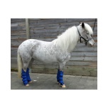 Transpordikaitsmed Shetland
