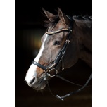 Valjad Rose Gold anatomic + ratsmed
