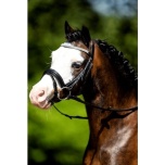 Valjad Luxe Little shetlandi ponile+ratsmed