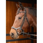 Valjad Anatomic+ratsmed