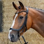 Valjad  Anatomic Black Crystal+ratsmed