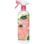 EASY SHINE RAVENE  PALSAM 750ml