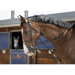 RIDING WORLD GOGUE SÜSTEEM