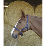 RIDING WORLD HEADCOLLAR