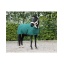 1321_forest_green.jpg