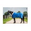 1343_blue.jpg