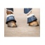 231_steelblue.jpg