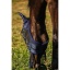 riding-world-first-fly-mask (2).jpg