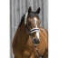 riding-world-headcollar-synthetic-sheepskin (1).jpg