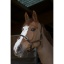 norton-club-cuir-leather-headcollar (1).jpg