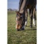 norton-club-cuir-leather-headcollar.jpg