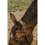norton-club-square-bridle (1).jpg