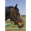 norton-grooming-headcollar (6).jpg