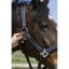 norton-grooming-headcollar.jpg