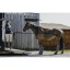norton-trailer-loading-training-aid.jpg