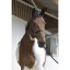 riding-world-club-headcollar-lead-rope (2).jpg