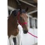 riding-world-club-headcollar-lead-rope (3).jpg