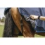 riding-world-eco-600d-rug-combo (1).jpg