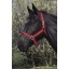 riding-world-headcollar (1).jpg